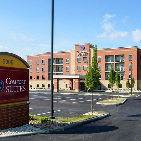 Comfort Suites Florence - Cincinnati South Екстериор снимка